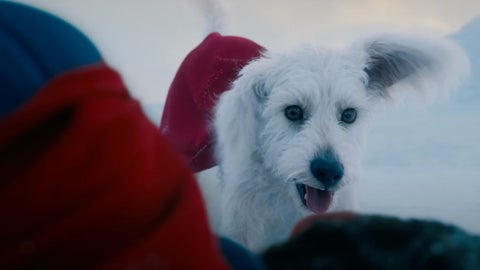 Krypto, el perro de Superman 2025