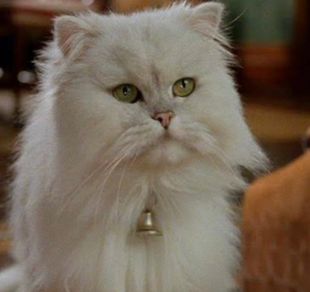 Pelusa en Stuart Little