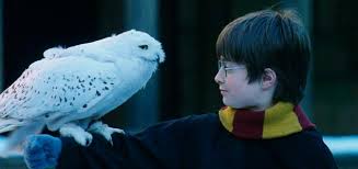 Hedwig, la lechuza de Harry Potter