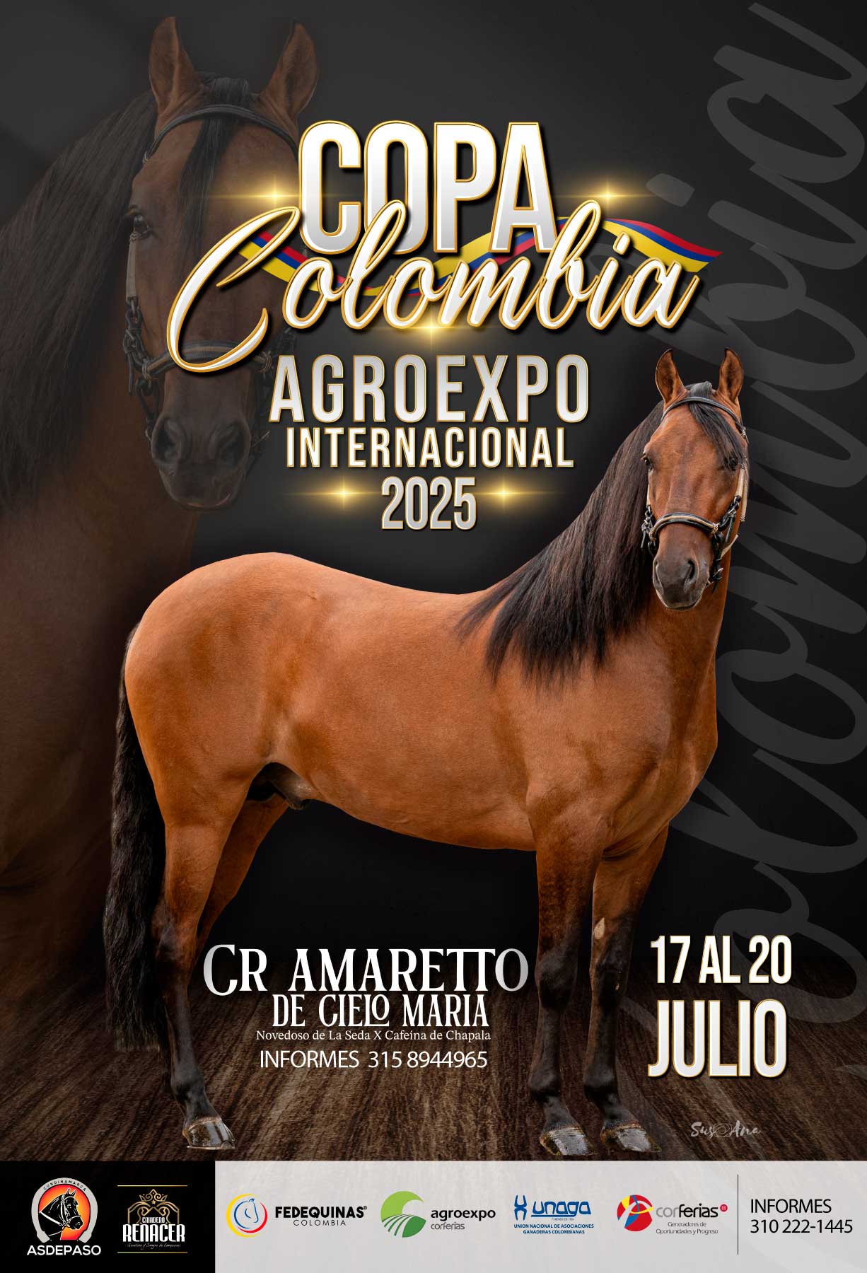 Afiche promocional