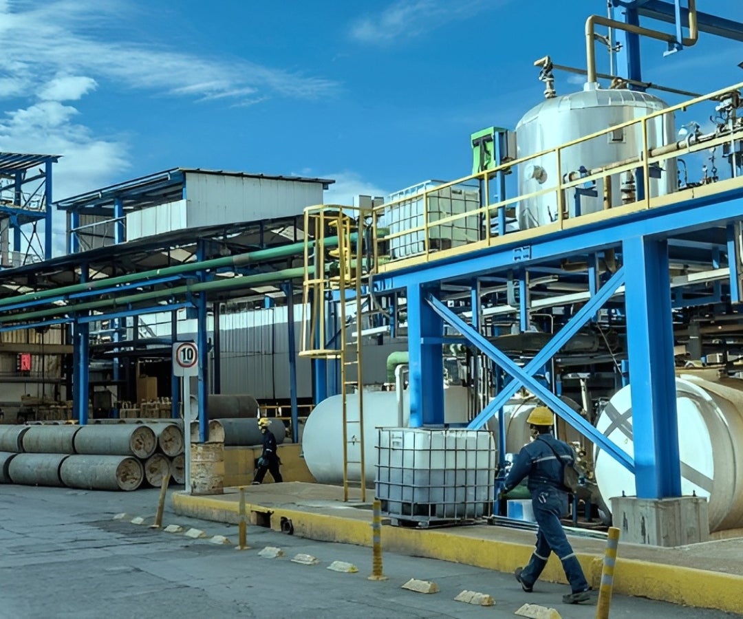 Brinsa invertirá hasta US$100 millones en 2025 para producción local y eficiencia