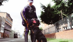 La ley 2454 de 2025 promueve el desarrollo de tecnologías para la vigilancia privada La ley 2454 de 2025 promueve el desarrollo de tecnologías para la vigilancia privada