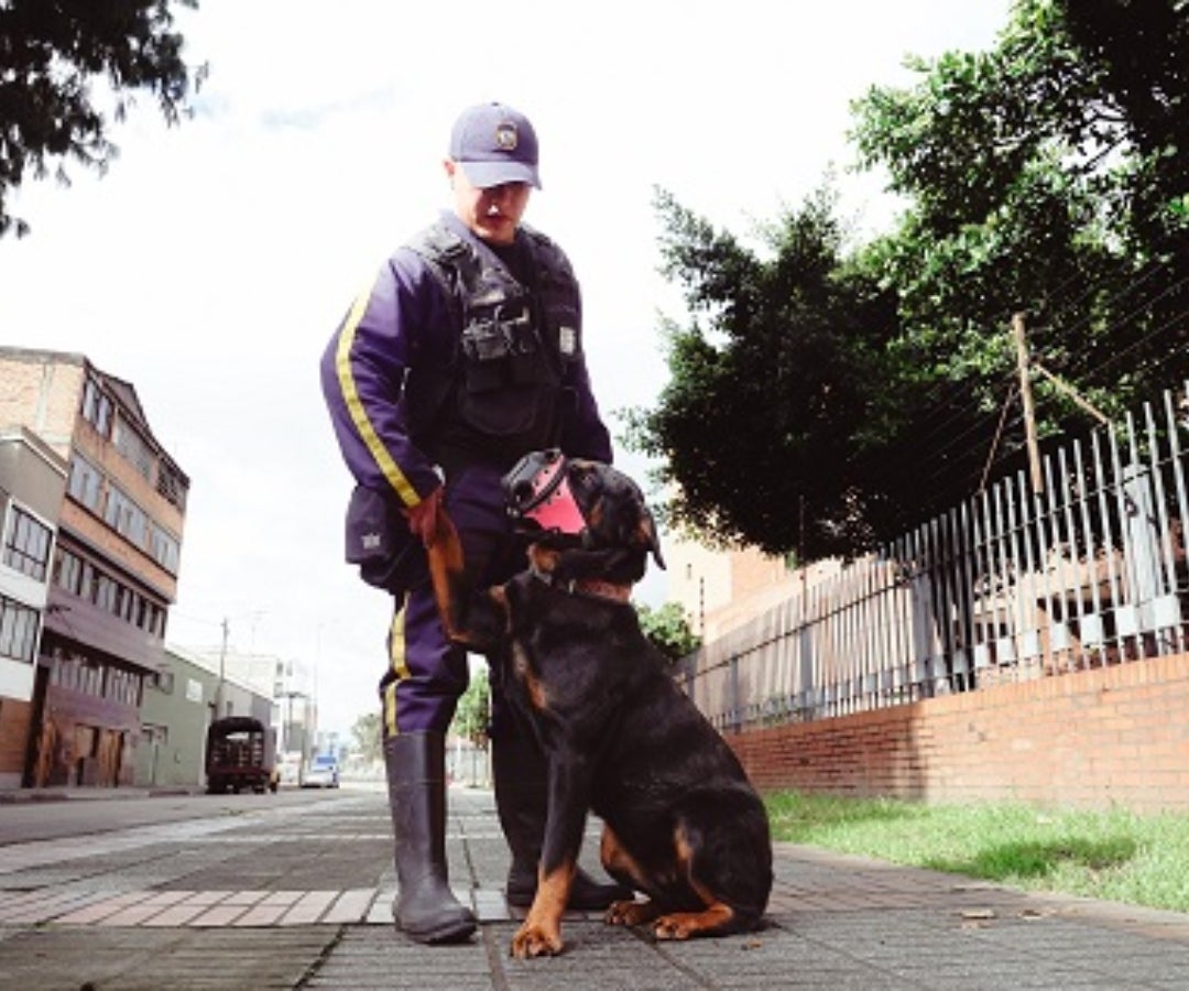 La ley 2454 de 2025 promueve el desarrollo de tecnologías para la vigilancia privada