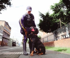 La ley 2454 de 2025 promueve el desarrollo de tecnologías para la vigilancia privada