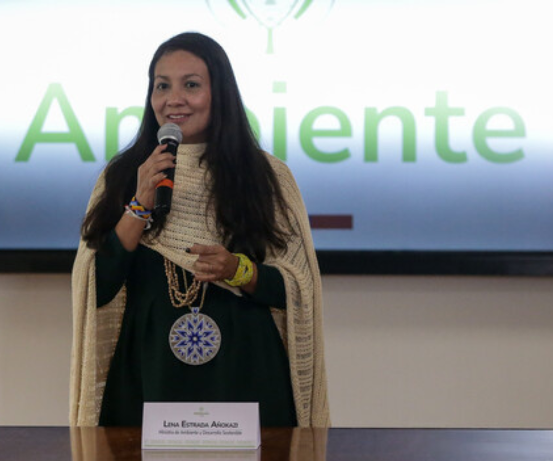Ministra de Ambiente Lena Estrada