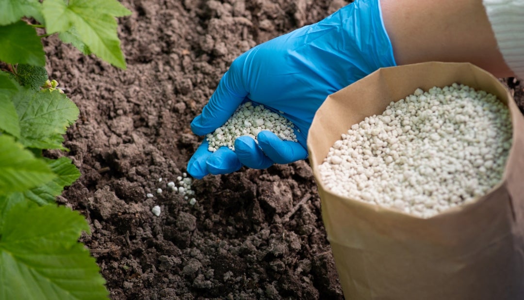 Entre 2012 y 2022, el consumo aparente de abonos y fertilizantes en Colombia creció un 78% Entre 2012 y 2022, el consumo aparente de abonos y fertilizantes en Colombia creció un 78% a un ritmo promedio anual del 5.9%