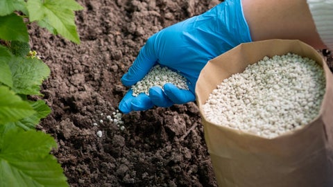 Entre 2012 y 2022, el consumo aparente de abonos y fertilizantes en Colombia creció un 78% a un ritmo promedio anual del 5.9%