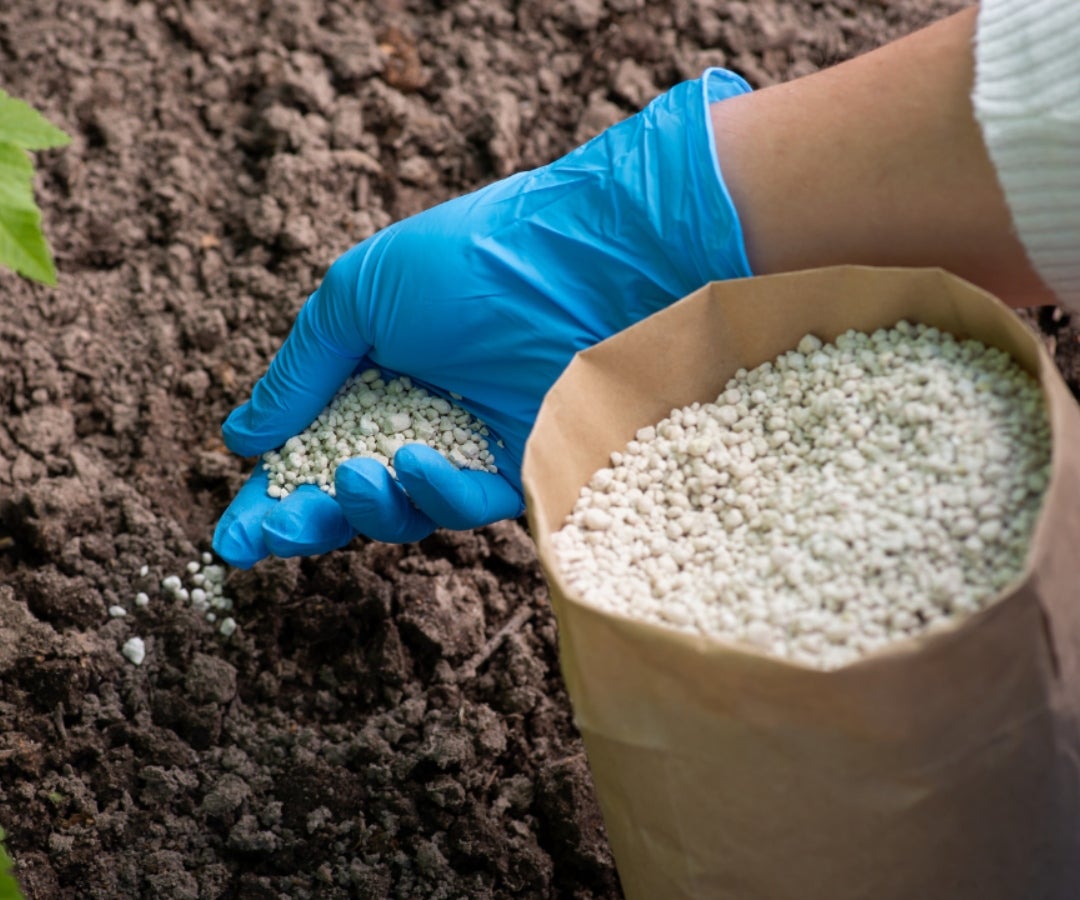 Entre 2012 y 2022, el consumo aparente de abonos y fertilizantes en Colombia creció un 78% a un ritmo promedio anual del 5.9%