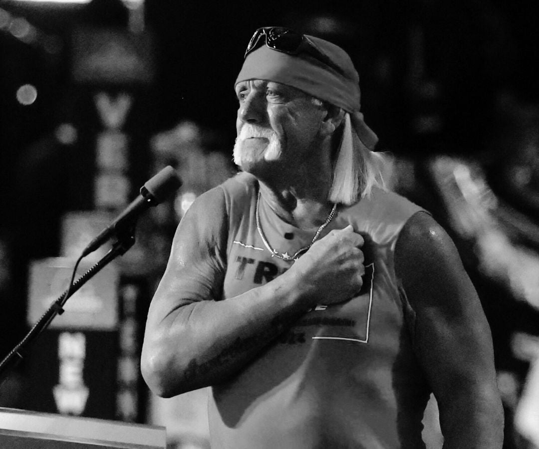 Hulk Hogan, luchador profesional