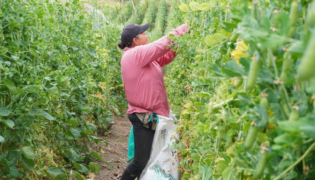 Créditos Finagro Créditos Finagro