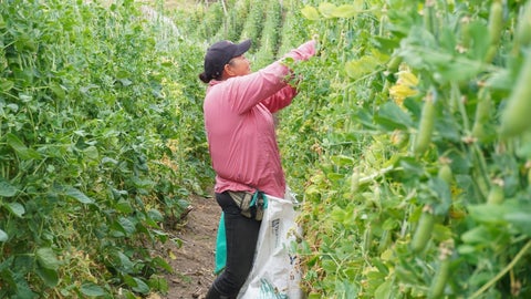 Créditos Finagro
