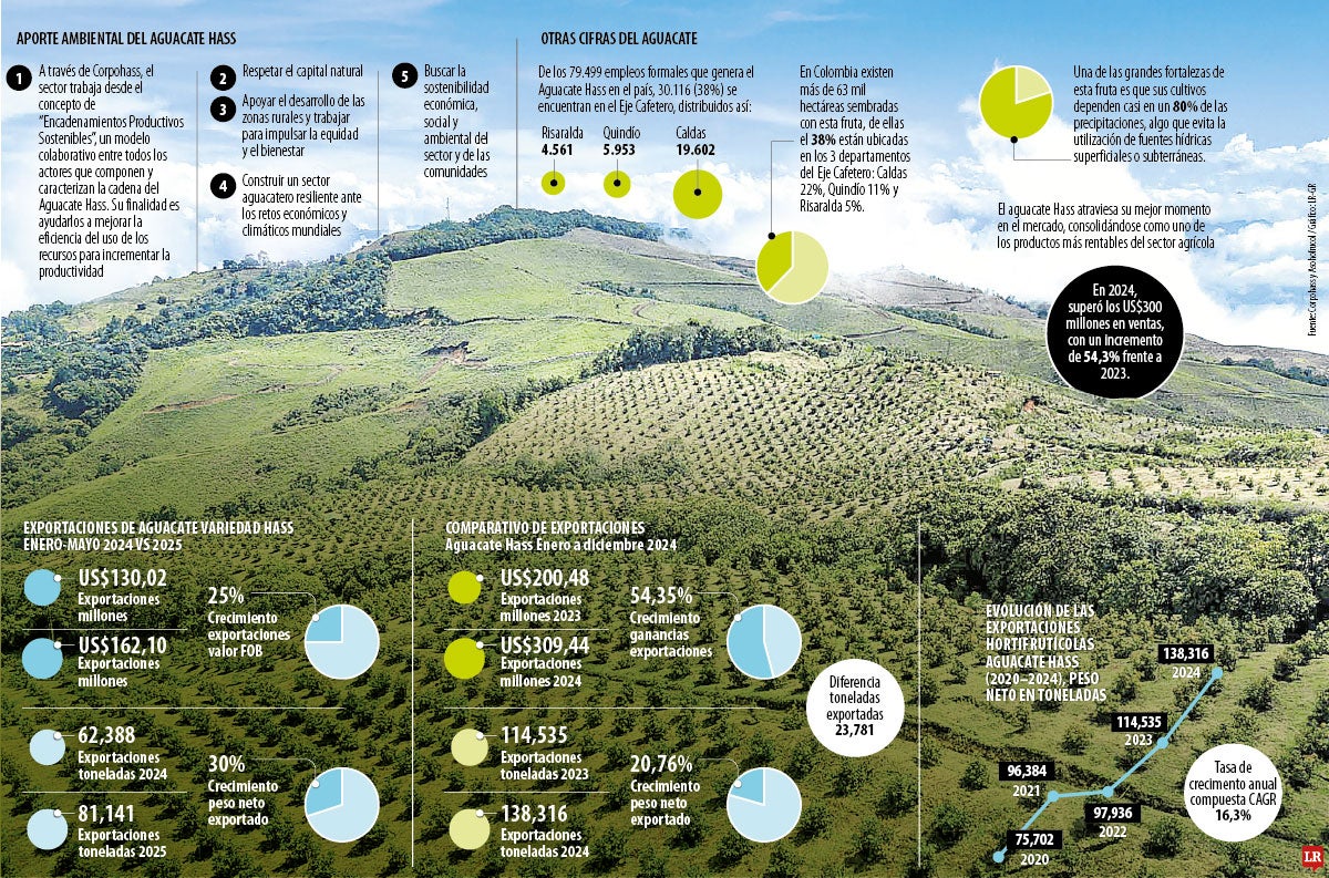 El aguacate hass en Colombia