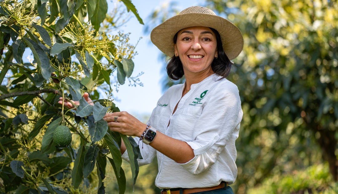 Katheryn Mejía, directora ejecutiva de Corpohass Katheryn Mejía, directora ejecutiva de Corpohass
