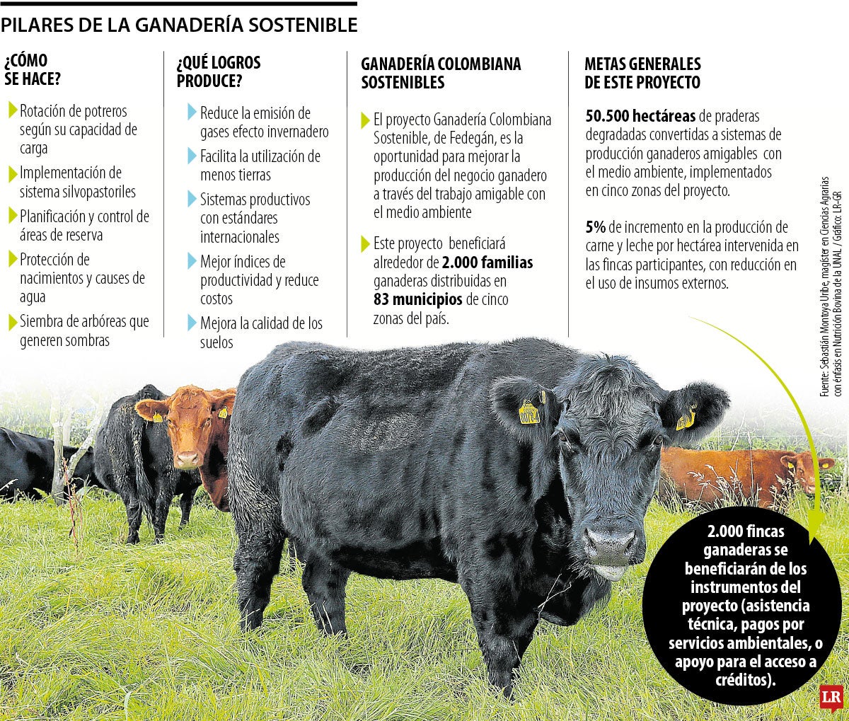 Impacto de la ganadería sostenible