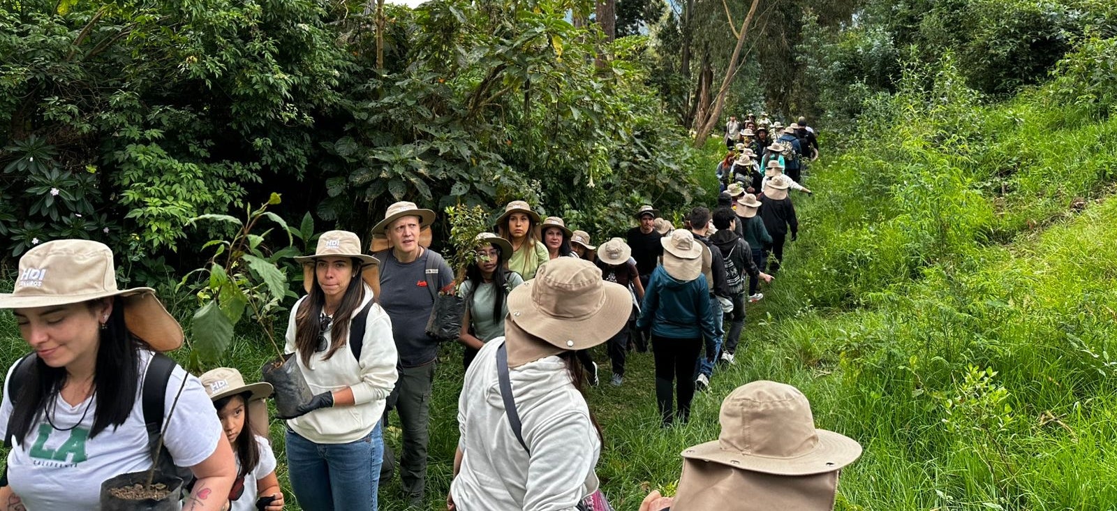 Entre las especies plantadas están el aliso y el cedro