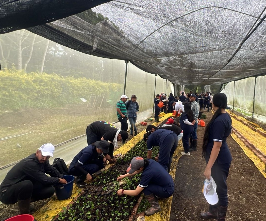 Cultivos en U. de Cundinamarca