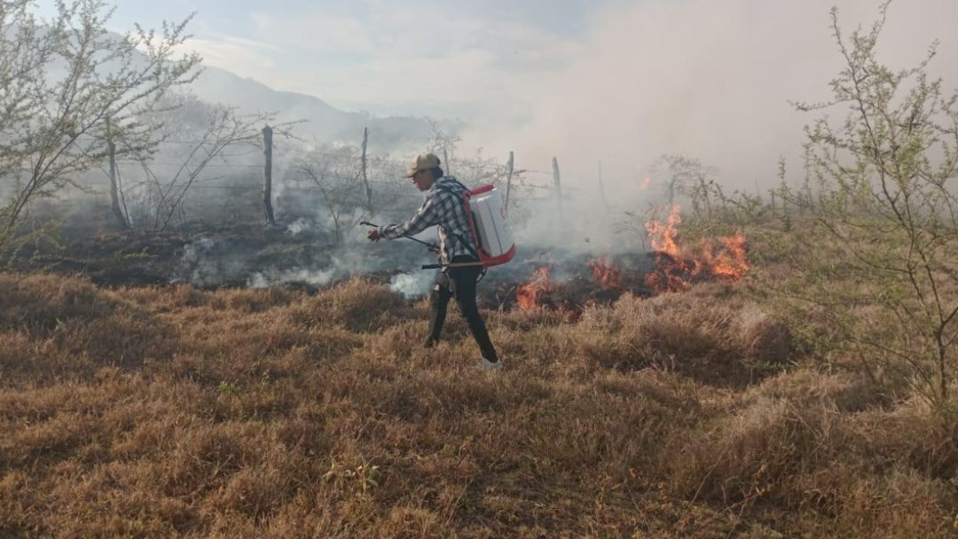 Los 36 incendios forestales han afectado más de 165 hectáreas