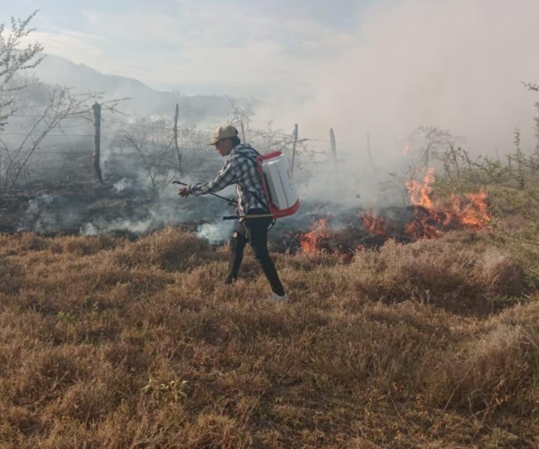 Los 36 incendios forestales han afectado más de 165 hectáreas