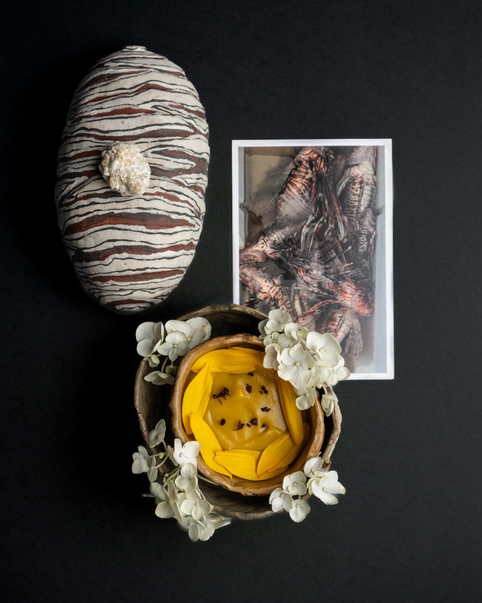 Granos estofados en jugo de pez león y crema de auyama