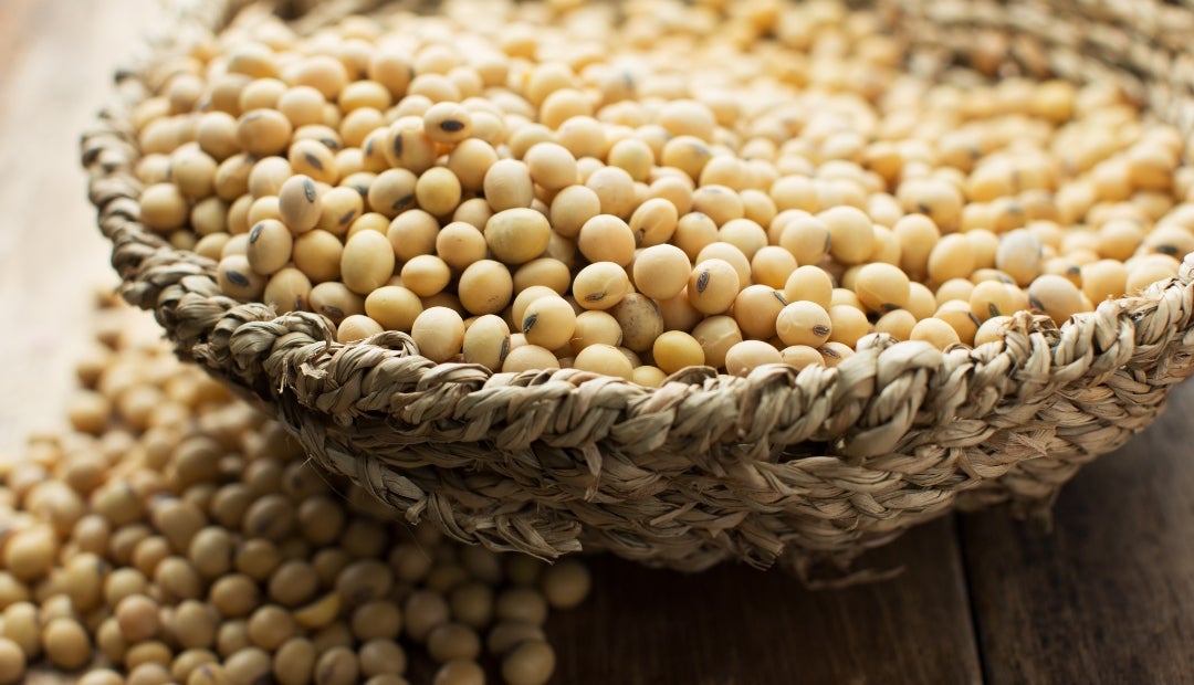 Los futuros de la harina de soja y el trigo marcaron mínimos contractuales, presionados por la abundante oferta Los futuros de la harina de soja y el trigo marcaron mínimos contractuales, presionados por la abundante oferta
