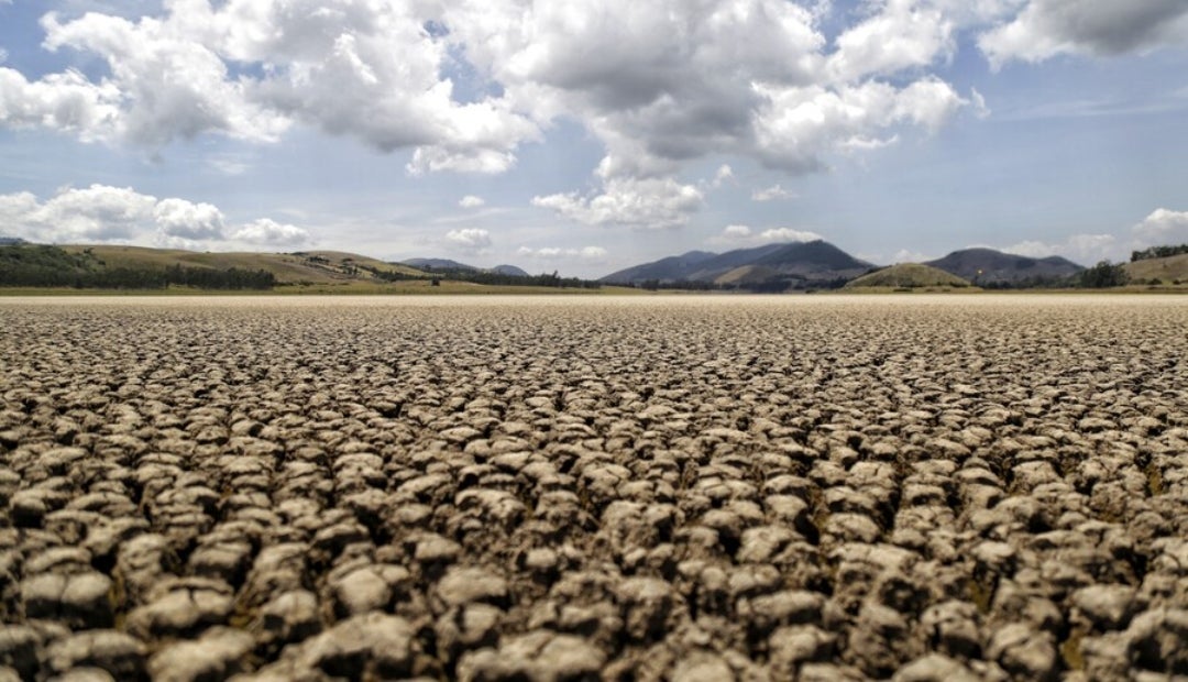 La superficie mundial afectada por sequías ha duplicado las cifras de 1900, llegando incluso a 27% en 2021 La superficie mundial afectada por sequías ha duplicado las cifras de 1900, llegando incluso a 27% en 2021
