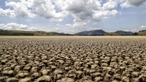 La superficie mundial afectada por sequías ha duplicado las cifras de 1900, llegando incluso a 27% en 2021