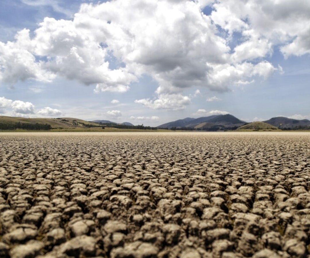 La superficie mundial afectada por sequías ha duplicado las cifras de 1900, llegando incluso a 27% en 2021