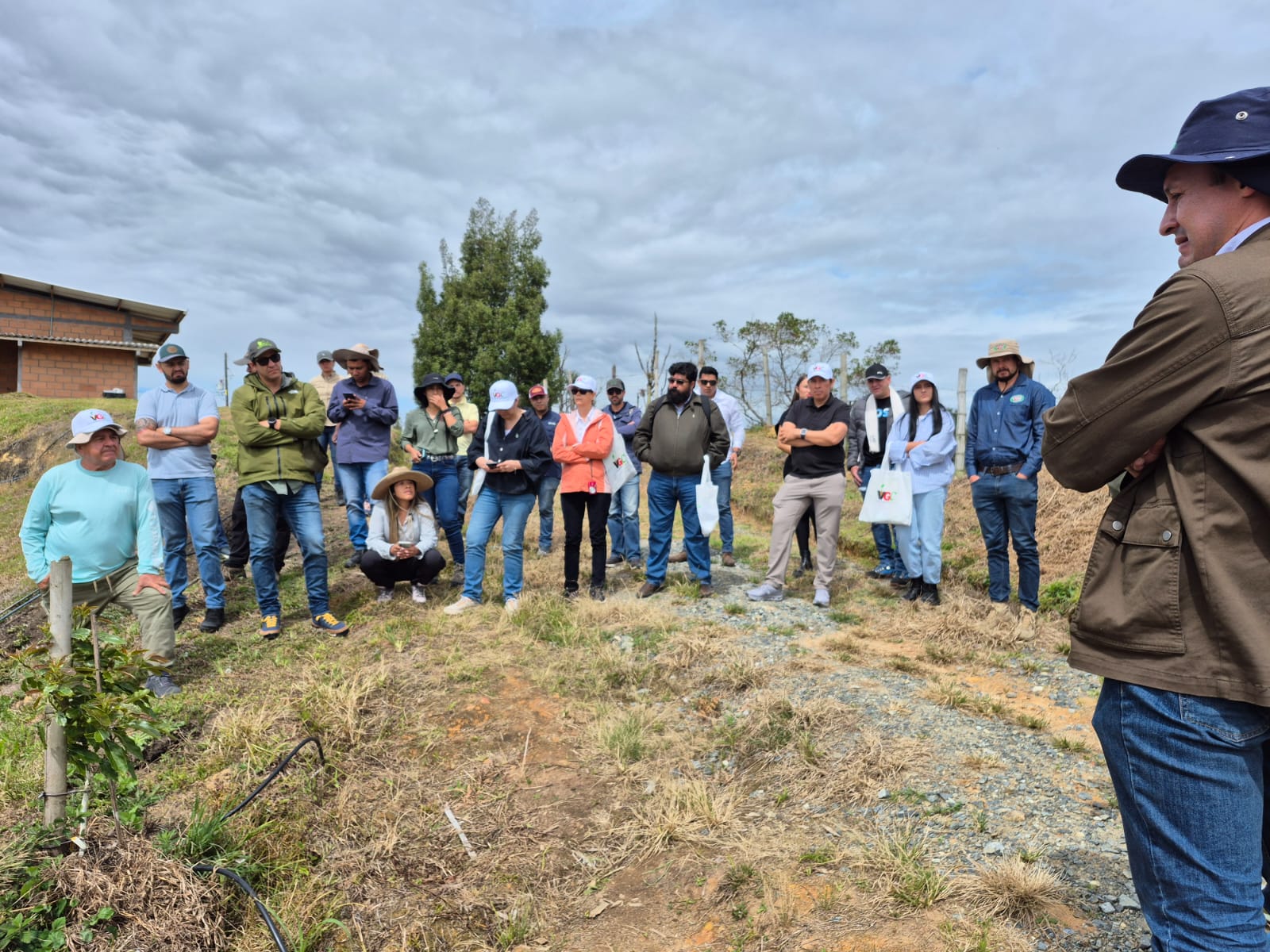 Día de Campo y Almuerzo de Networking sobre Producción de Aguacate Hass