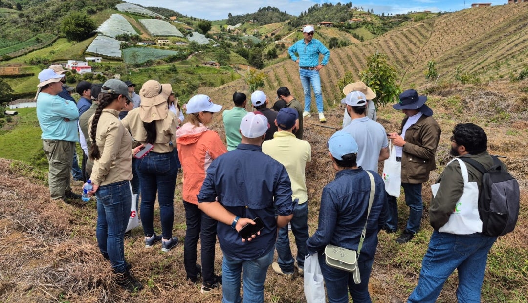 El Día de Campo y Almuerzo de Networking sobre Producción de Aguacate Hass El Día de Campo y Almuerzo de Networking sobre Producción de Aguacate Hass