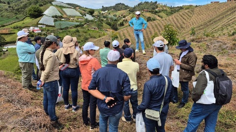El Día de Campo y Almuerzo de Networking sobre Producción de Aguacate Hass