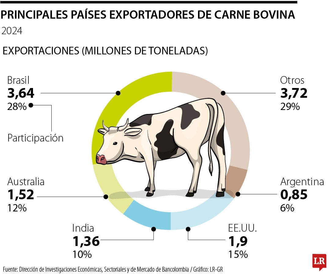 Panorama carne