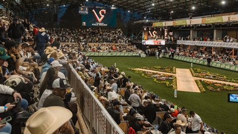 Expointernacional Equina de la Feria de las Flores