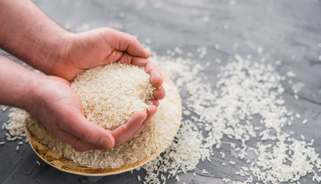 Las siembras de arroz en 2024 alcanzaron 631.000 hectáreas Las siembras de arroz en 2024 alcanzaron 631.000 hectáreas