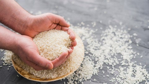 Las siembras de arroz en 2024 alcanzaron 631.000 hectáreas