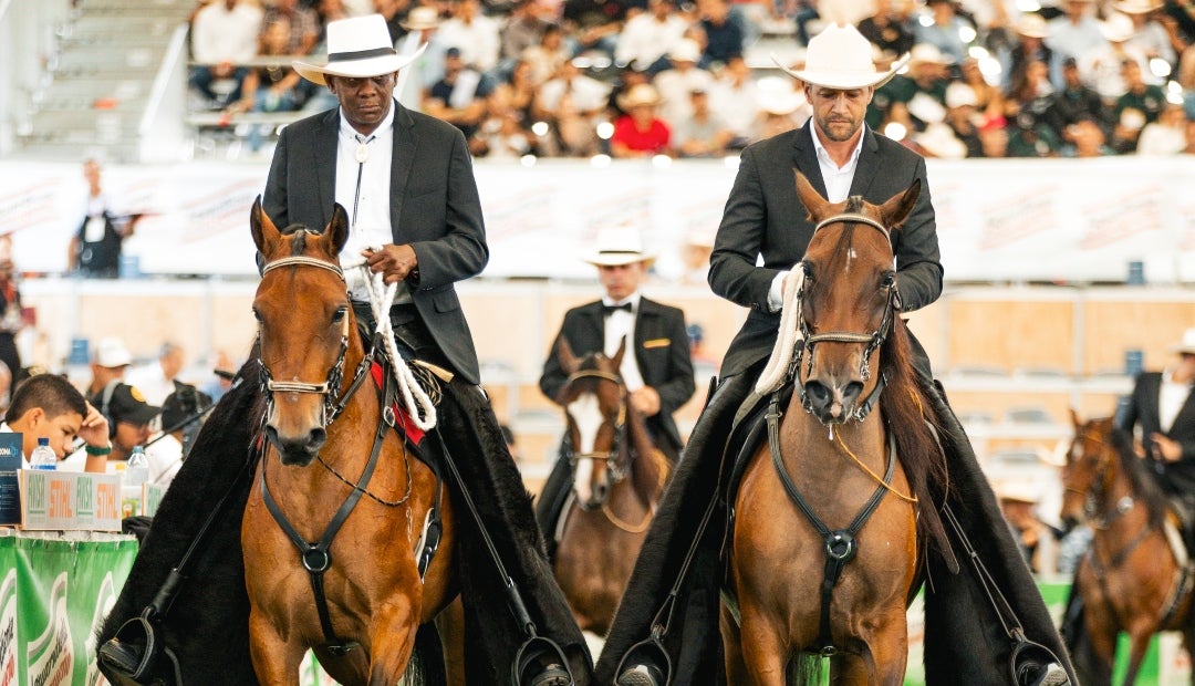 Expointernacional Equina de la Feria de las Flores Expointernacional Equina de la Feria de las Flores