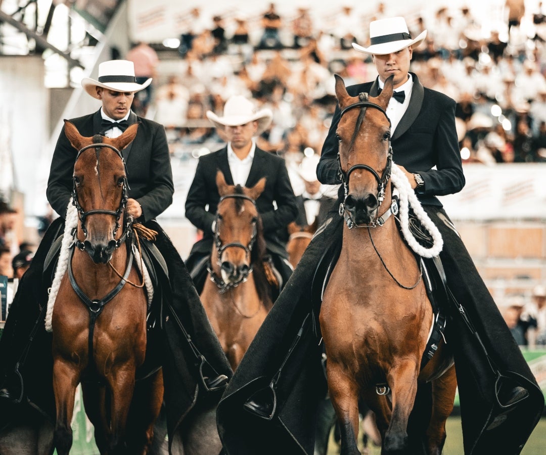 Expointernacional Equina de la Feria de las Flores