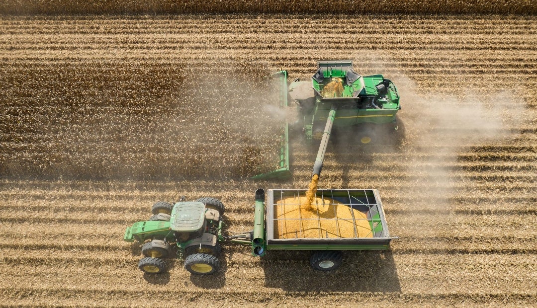 Un indicador de precios de fertilizantes en América del Norte ha aumentado un 35% este año y ha alcanzado su nivel más alto desde 2022 Un indicador de precios de fertilizantes en América del Norte ha aumentado un 35% este año y ha alcanzado su nivel más alto desde 2022