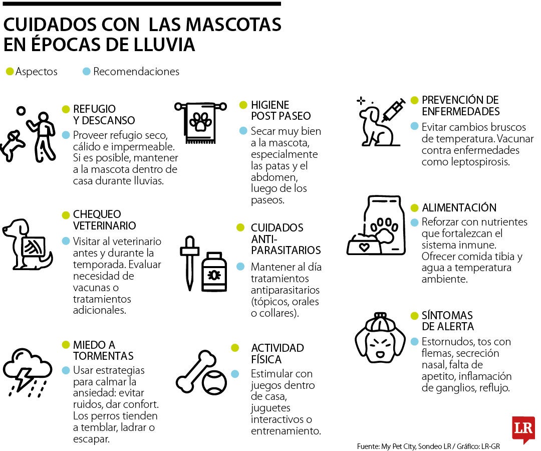 Cuidados para las mascotas en temporada de lluvia