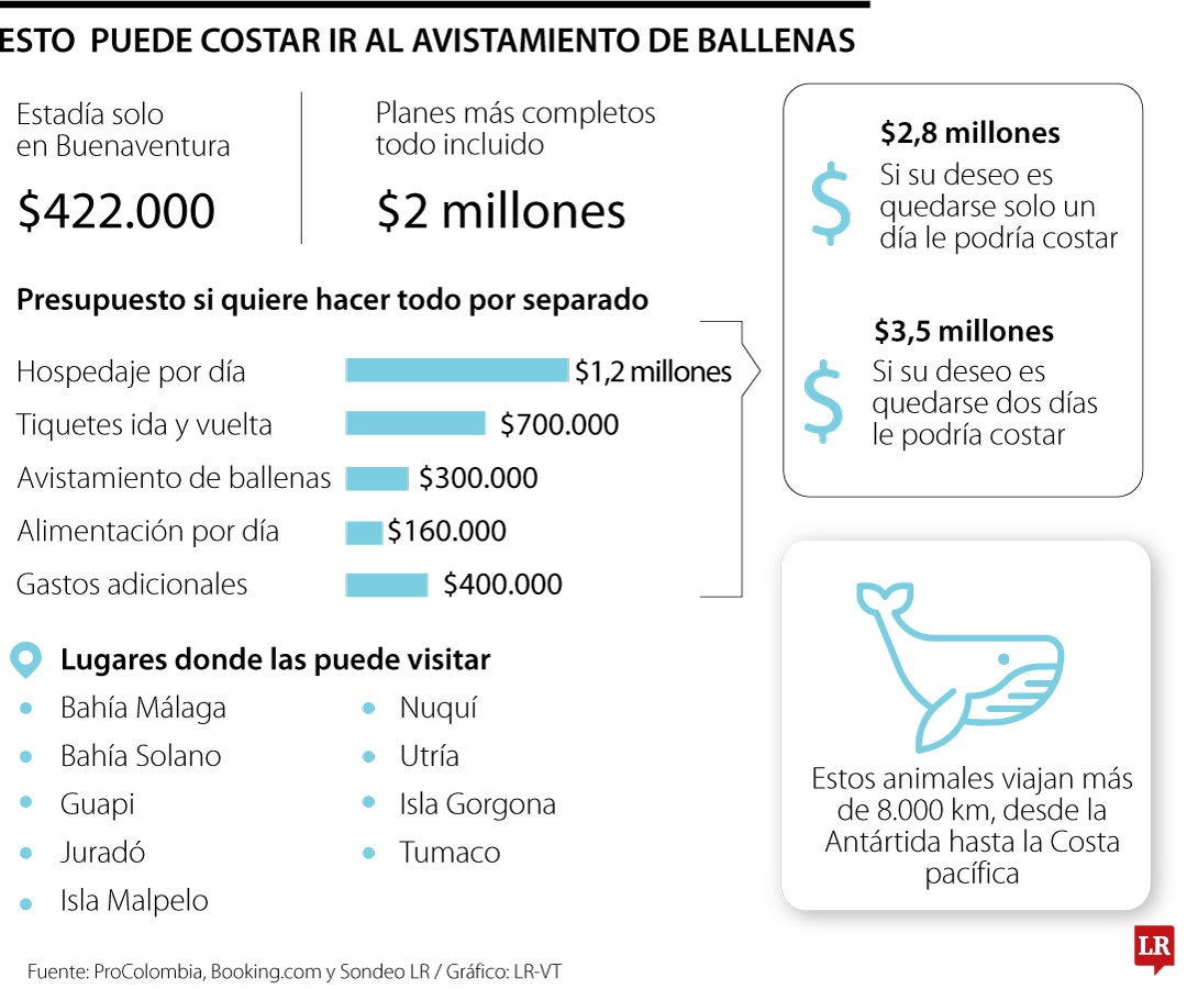 Avistamiento de ballenas