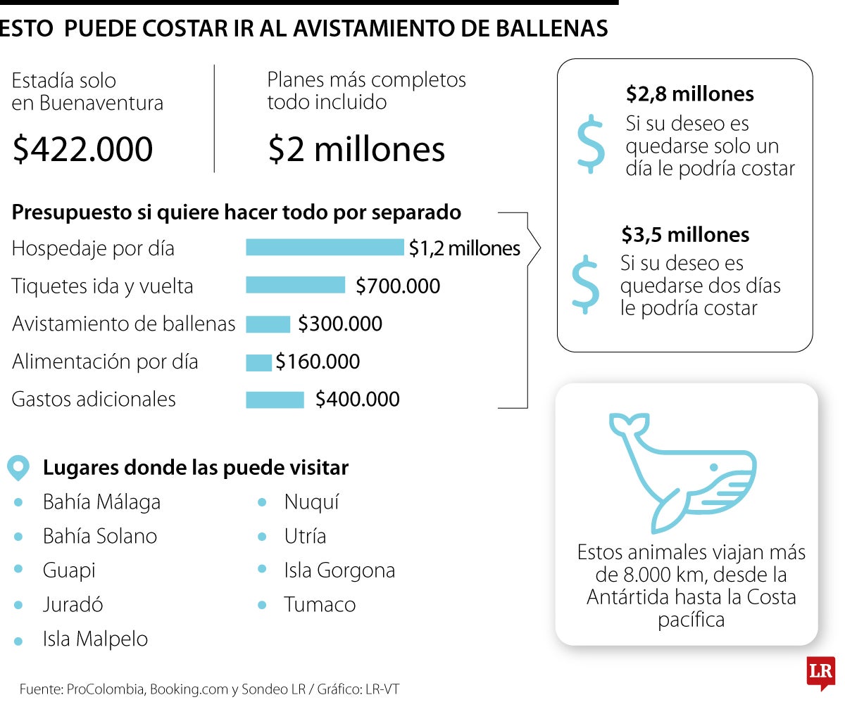 Avistamiento de ballenas