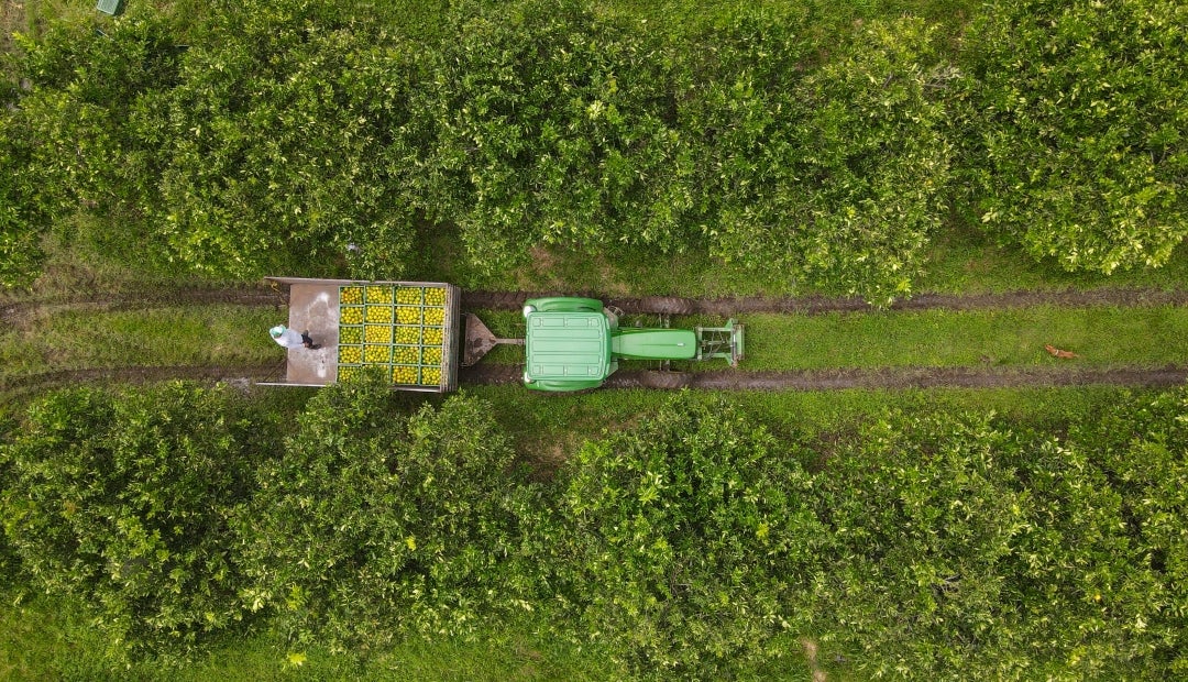 Los bancos ofrecen créditos para las diferentes necesidades de los productores Los bancos ofrecen créditos para las diferentes necesidades de los productores