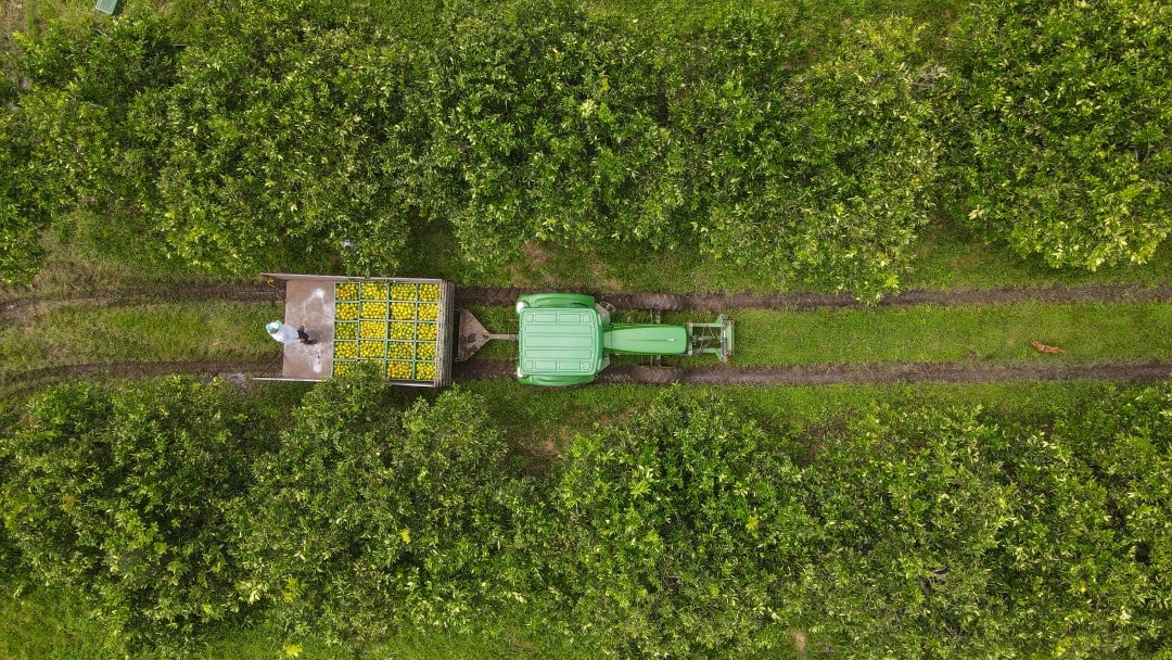 Los bancos ofrecen créditos para las diferentes necesidades de los productores