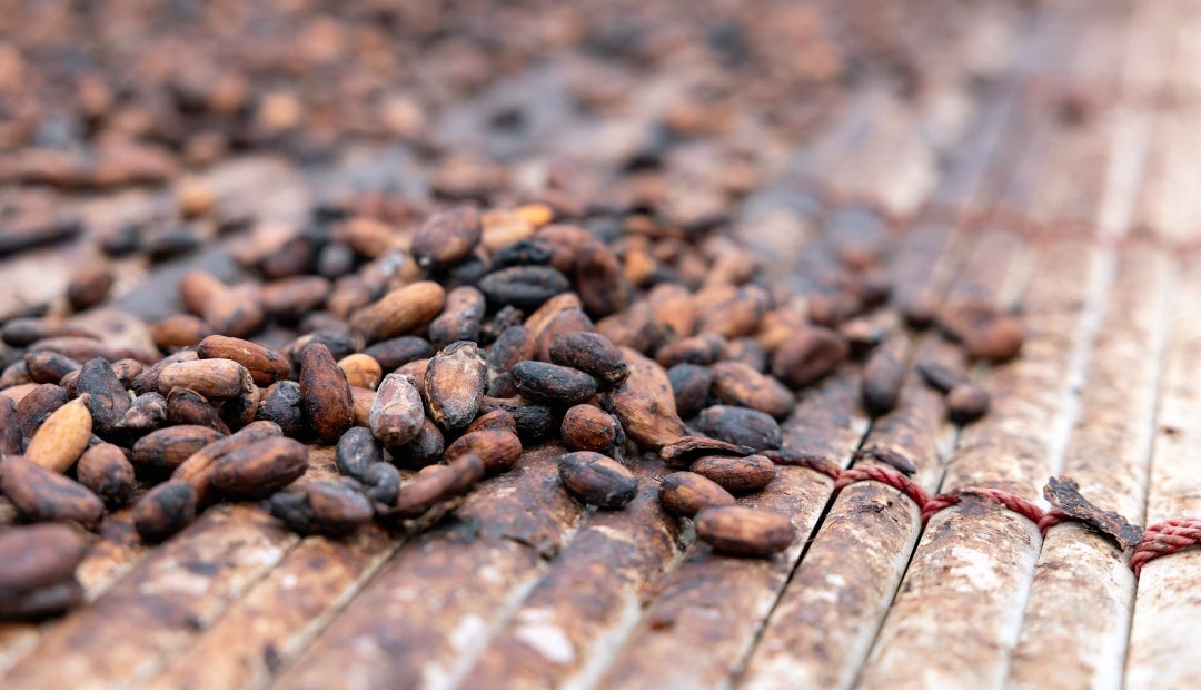 El cacao de Londres subió 9%, mientras que el azúcar sin refinar subió 1% y el café arábico ganó 2,4% en Nueva York El cacao de Londres subió 9%, mientras que el azúcar sin refinar subió 1% y el café arábico ganó 2,4% en Nueva York