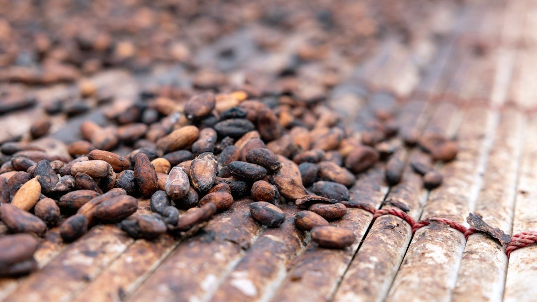 El cacao de Londres subió 9%, mientras que el azúcar sin refinar subió 1% y el café arábico ganó 2,4% en Nueva York