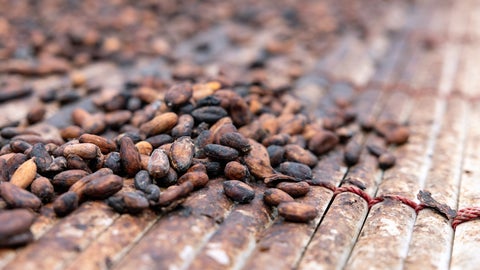 El cacao de Londres subió 9%, mientras que el azúcar sin refinar subió 1% y el café arábico ganó 2,4% en Nueva York