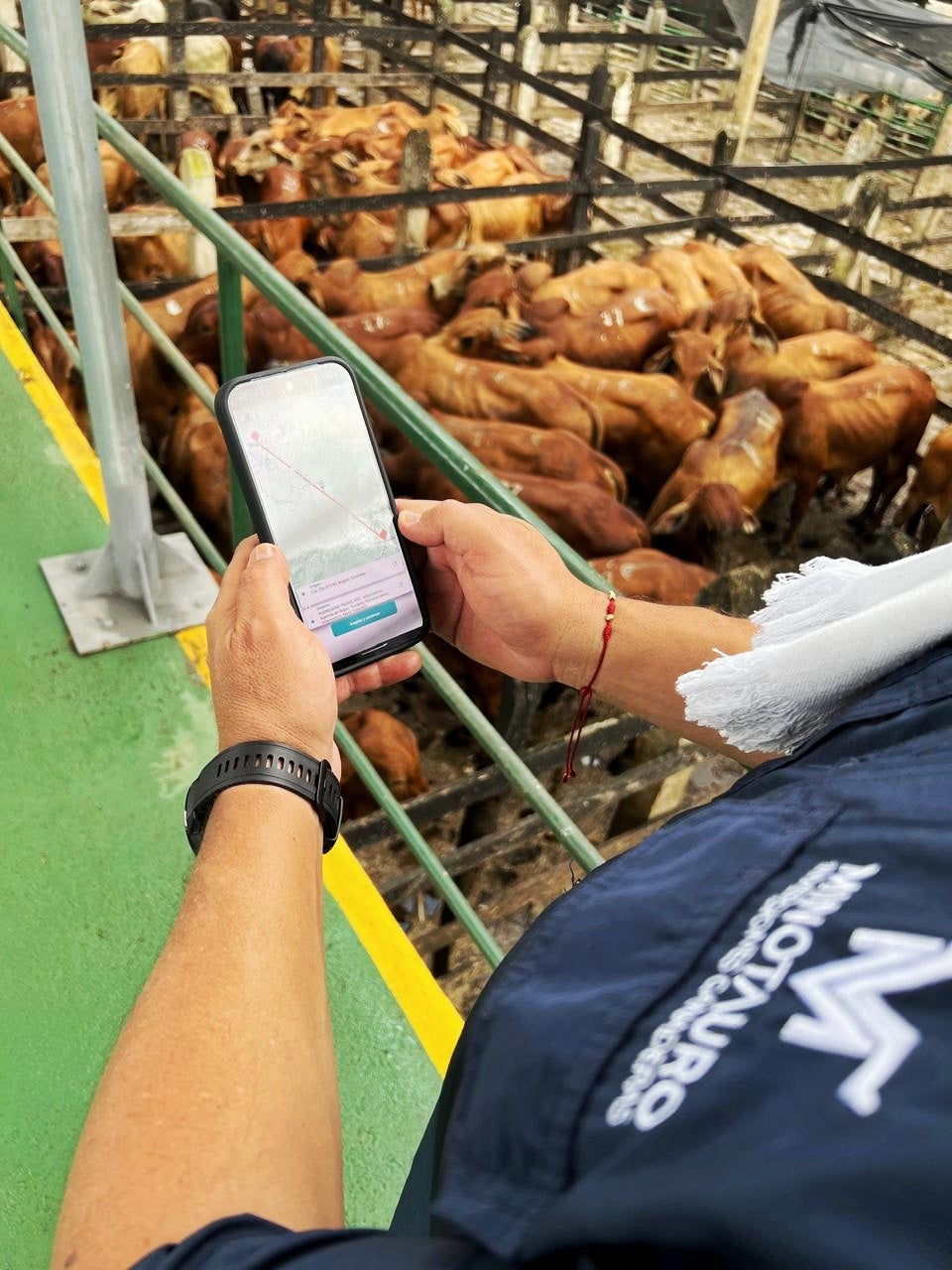 La aplicación funciona como una subasta inversa