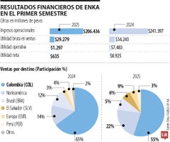 Enka redujo sus utilidades en más de 92,8% en el primer semestre respecto al anterior