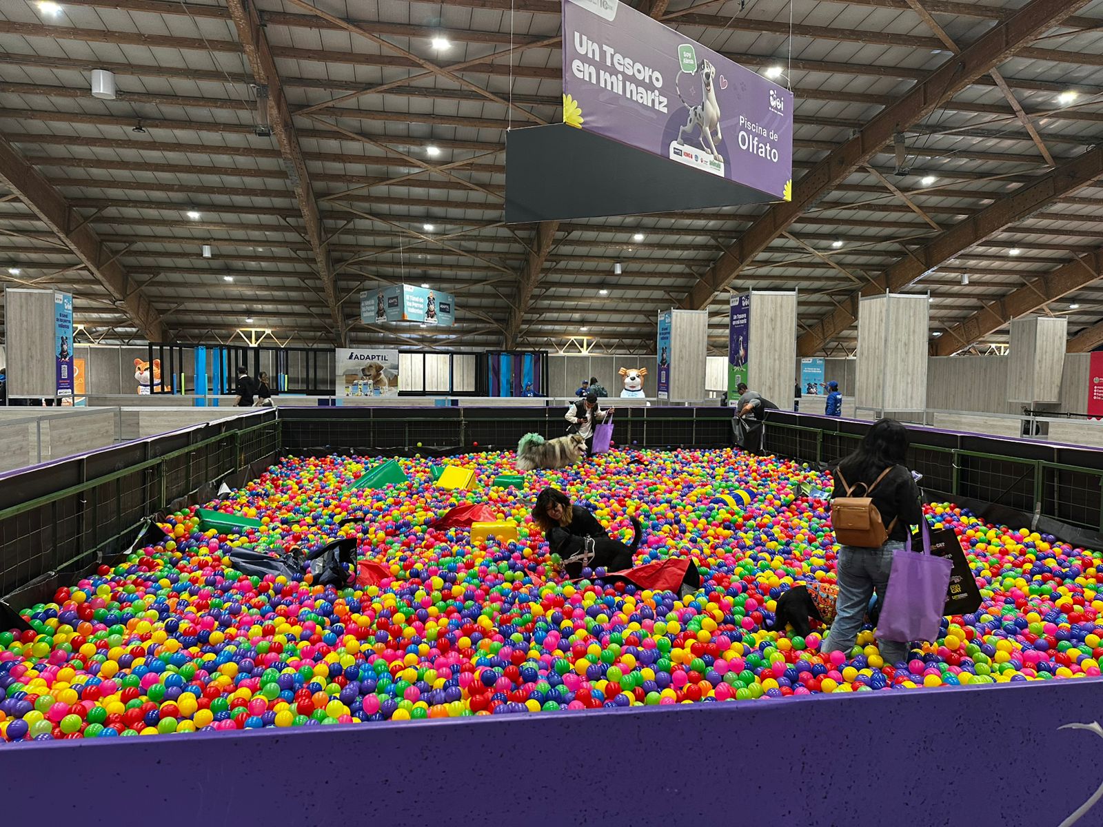 Piscina de pelotas de la Escuela de la Felicidad en Expopet