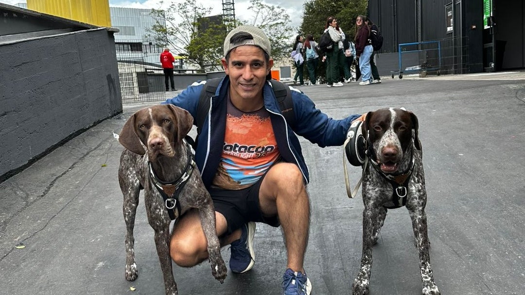 Pasaporte pets se encarga de todos los procesos para que usted pueda viajar con su mascota