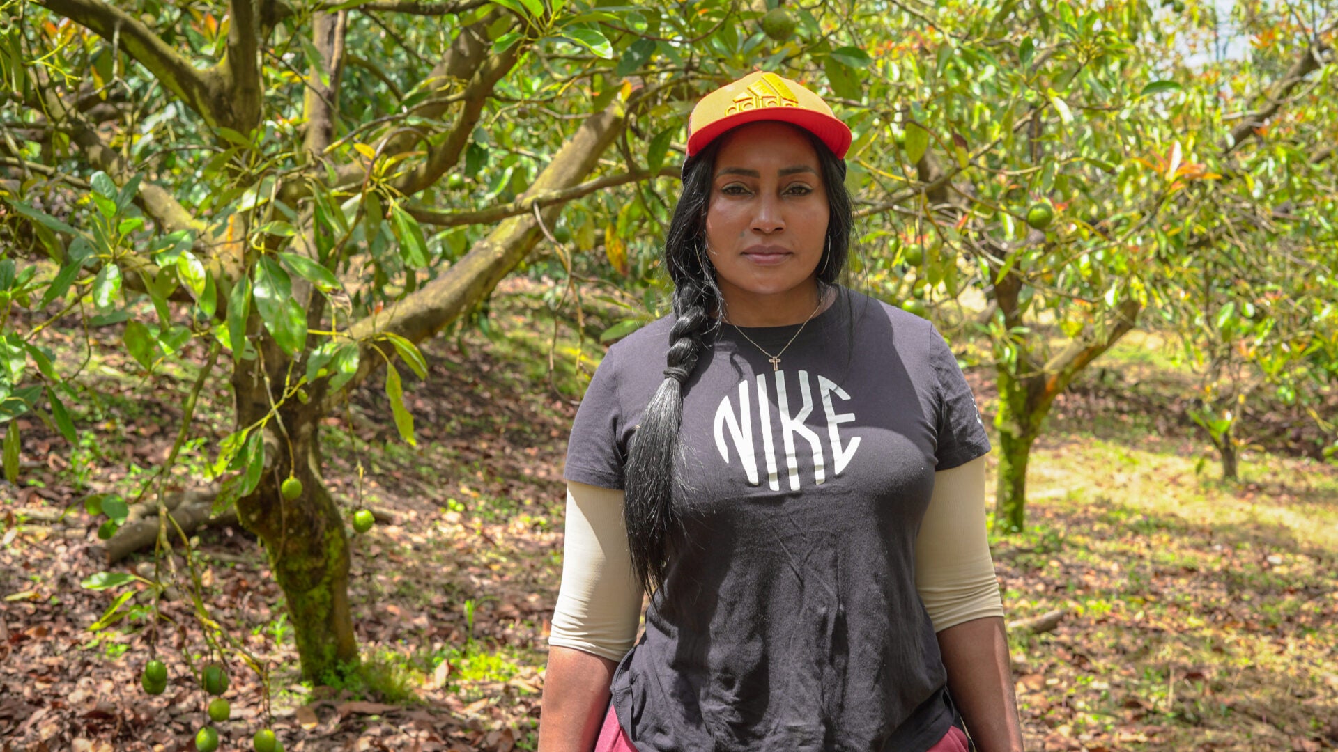 Comfama impulsa el agro antioqueño: más de 1000 empresas fortalecidas desde 2023